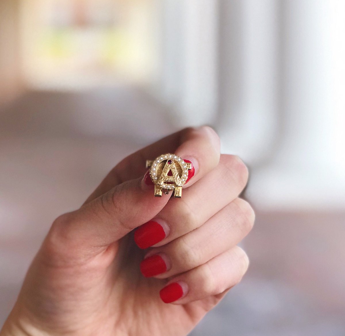 AOII at Elon tweet media