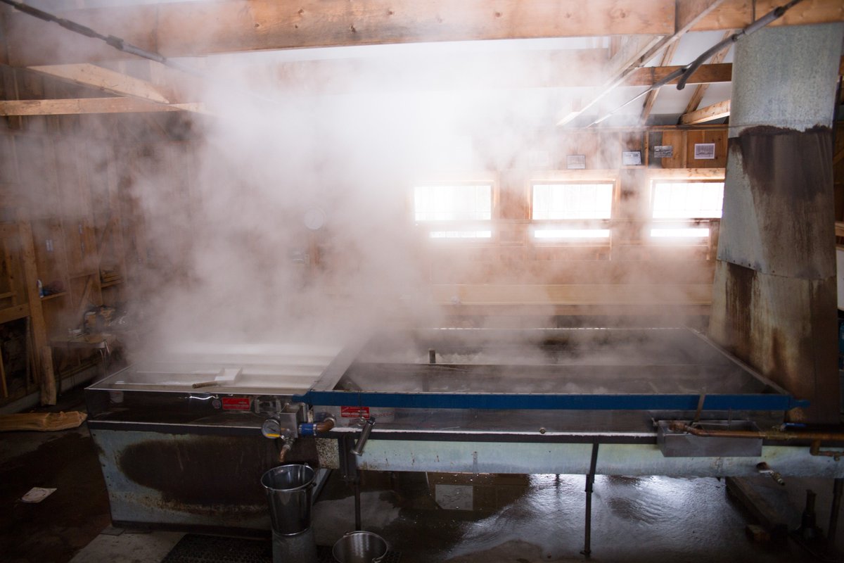vonTrappBrewing's tweet photo. There are a lot of operations here on the property along with brewing lagers- The von Trapp's 2,000 tap sugar house is boiling away! #Alex #boilingsap #makingmaplesyrup #Vermontmaplesyrup #vonTrapp #thehillsarealive #sap #vermont #stowevt https://t.co/5GwjwtcH98