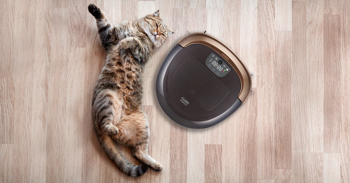 iClebo_US's tweet photo. Step 1 — shop https://t.co/j00z0oZGBo for your fave #robovac
Step 2 — snap a 📸 of your cat (or dog! 🐶)
Step 3 – get more ❤️s!

Buy an iClebo robot vacuum here 👉 https://t.co/1tl2lgtlhS, then tag @iClebUS in your tweets and social posts! Now go have an awesome week! https://t.co/S7AdLiA43R