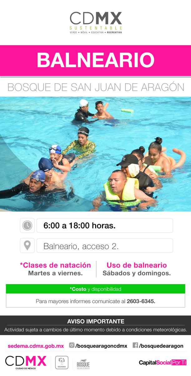 PlanVerdeCDMX's tweet photo. Aprende a nadar como todo un profesional. Te invitamos a las clases de natación que se imparten en el Bosque San Juan de Aragón. #BosquesCDMX https://t.co/okv8WpLLes