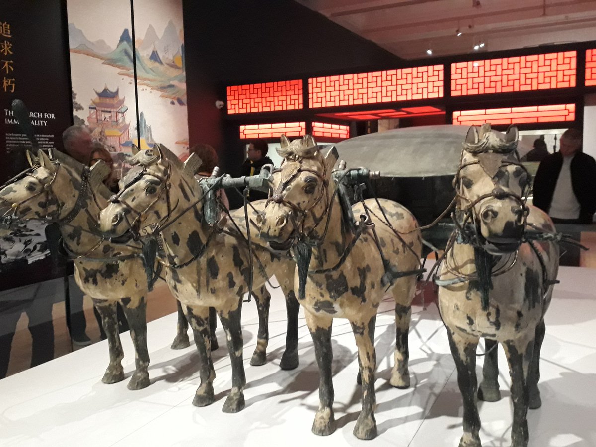 c_hwalker's tweet photo. Amazing day seeing the terracotta warriors in Liverpool  @NML_Muse #worldmuseum #terracottawarriors #China #Liverpool2018 #culture https://t.co/lnbHRNR9TW