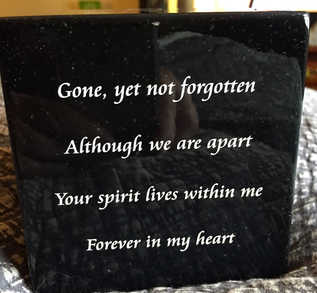 TVelvet's tweet photo. Thomas’s urn arrived and now contains his ashes. 😔💔 Sleep well my love. https://t.co/W54iTCFi85