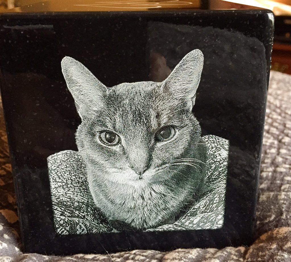 TVelvet's tweet photo. Thomas’s urn arrived and now contains his ashes. 😔💔 Sleep well my love. https://t.co/W54iTCFi85