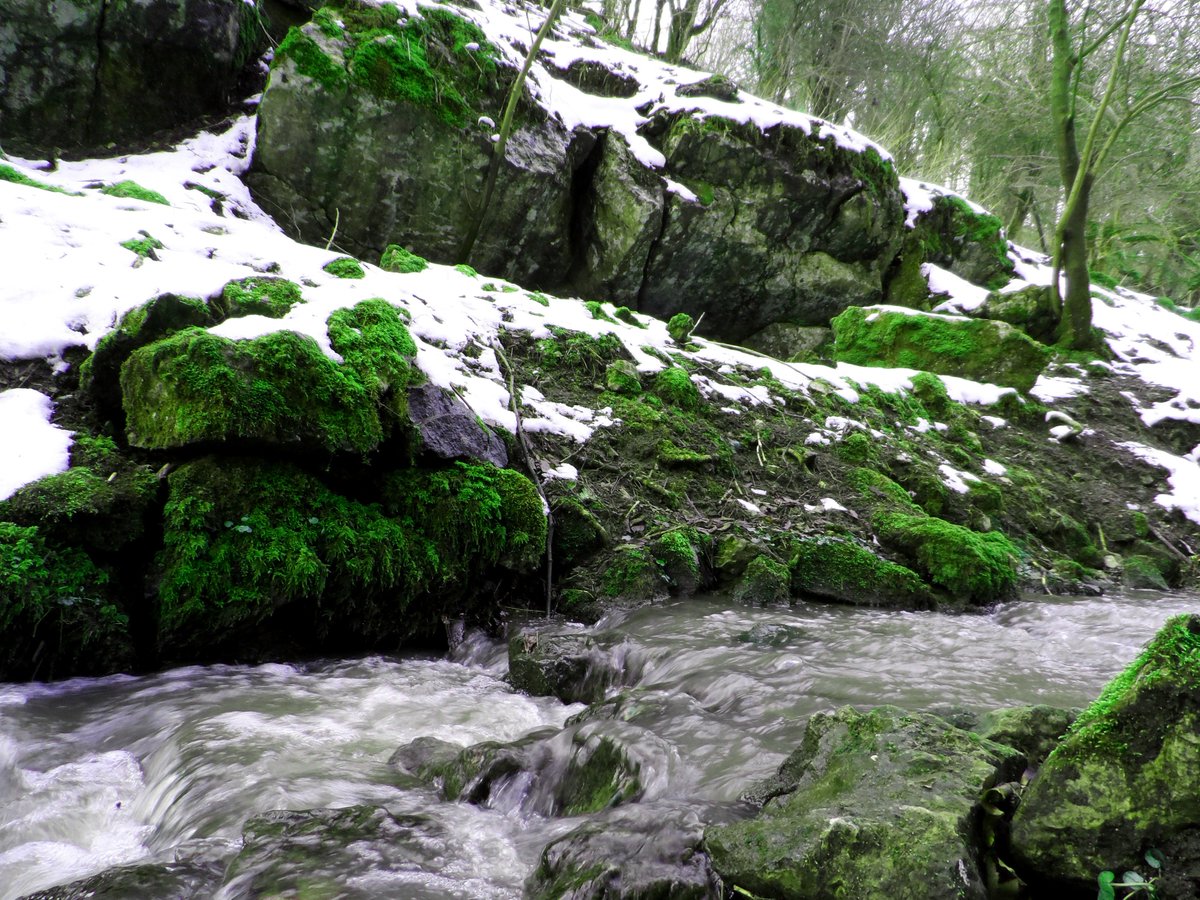 CrossDotMedia's tweet photo. The snow is finally melting here in the #peakdistrict - Shots of a brook near #TideswellDale 

#peakdistrict #derbyshire #water #photography #DerbyshireLife #britishcountryside https://t.co/USWx5logyy