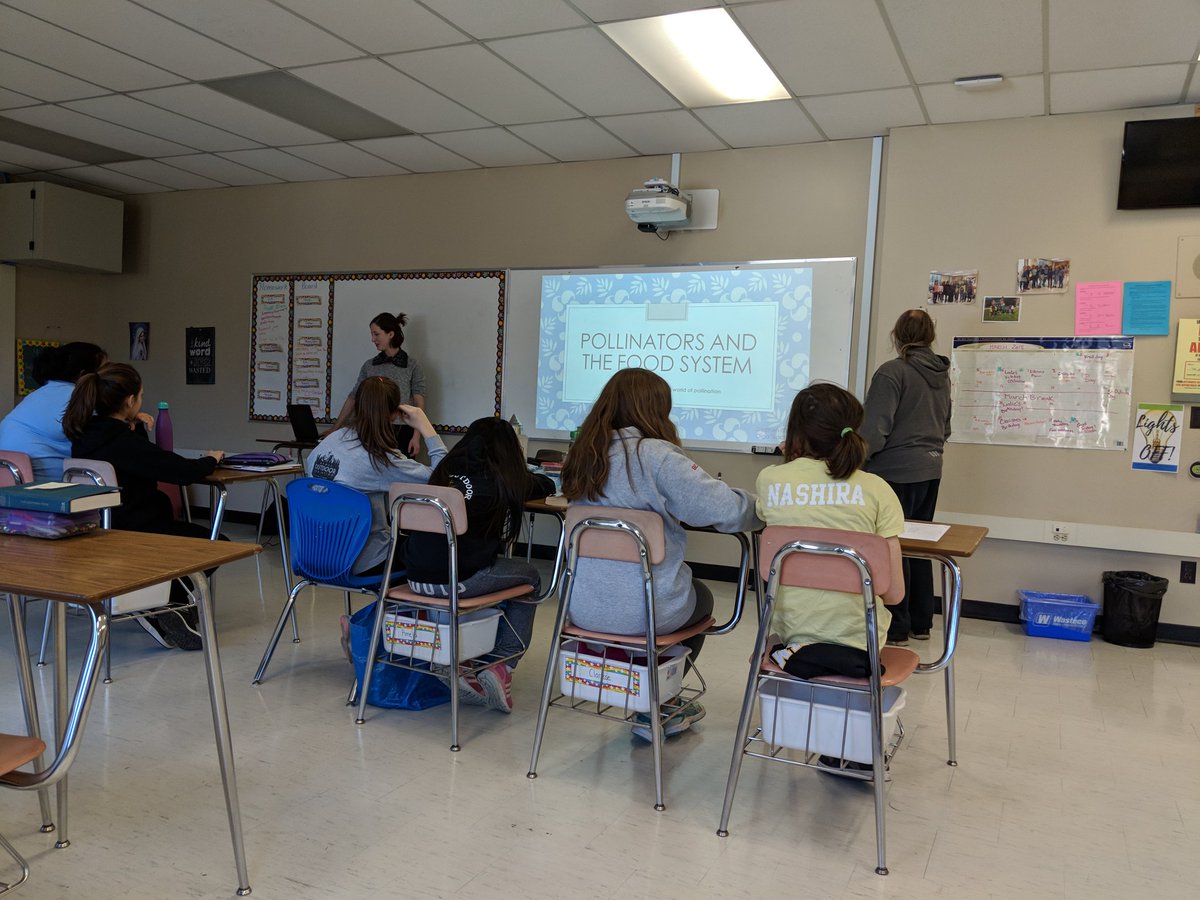 A great Monday workshop in progress by Olga and Steve from <a href="/bigcitybees/">Big City Bees</a> #ecoclub