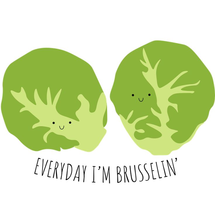 Latin Beet Kitchen tweet media