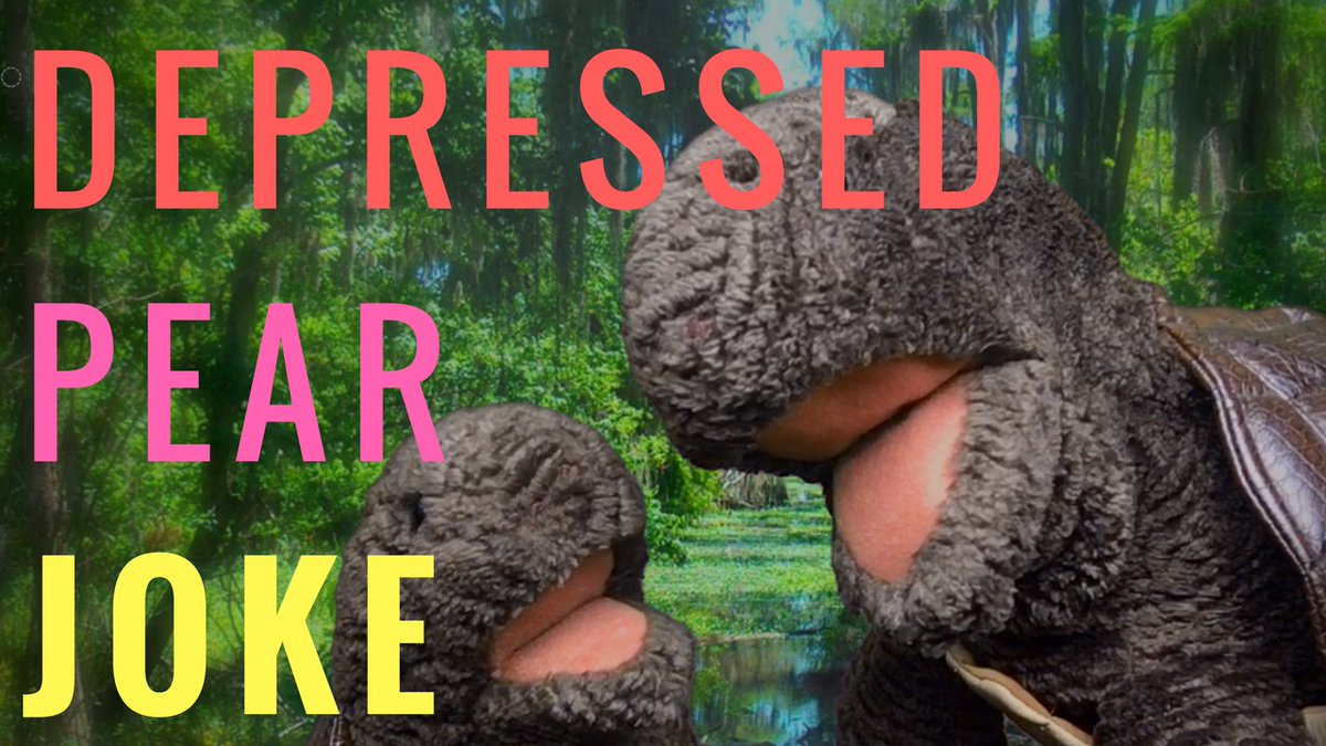 TwoDirtyTurtles's tweet photo. new video! what happens when you have sex with a pear? https://t.co/hraBuiTBKO #jokes #JokeOfTheDay #turtle https://t.co/FRi7FELAvz