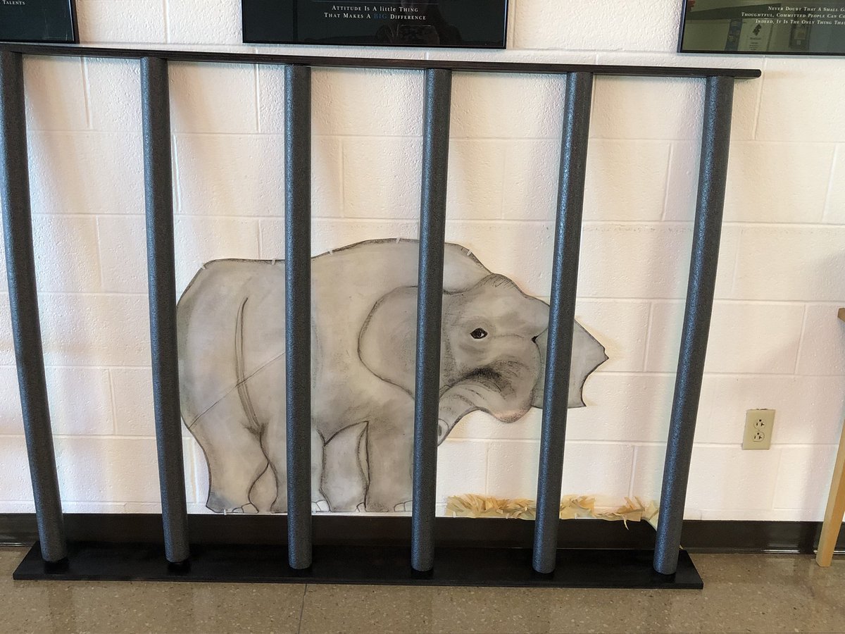 Miss_Bentley13's tweet photo. Don’t forget, our Pleasant View Reading Crew book club starts tonight! Read pages 1-10 🦍📚 https://t.co/P5ATz7IHE1