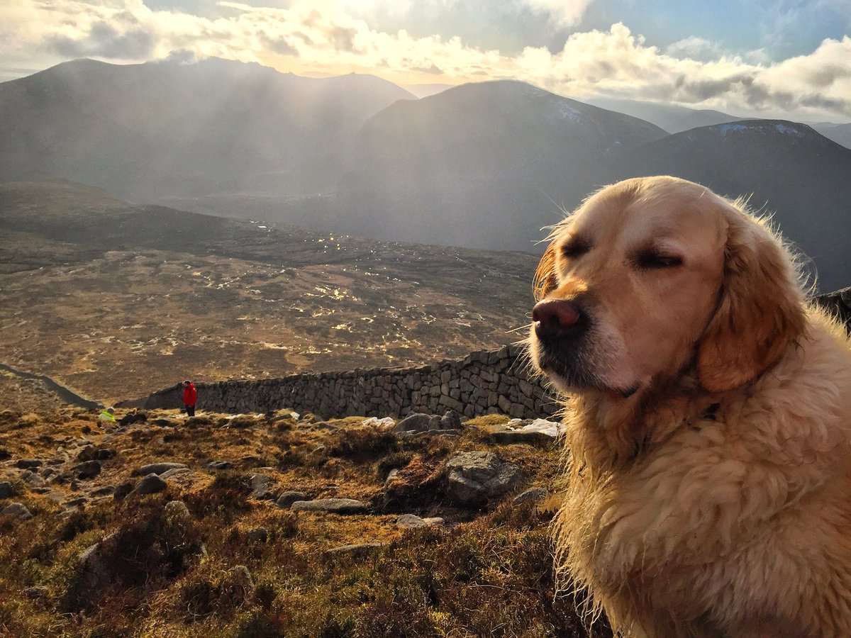 NI_EXPLORER's tweet photo. When youโre in one of #NorthernIrelandโs most picturesque locations, but.... โ ______________ โ ๐ฏ
(Funniest answer wins a virtual high five & shout out!) ๐ #MondayMax
(PS - Pic taken before the snow... #MourneMountains looking a lot different right now โ๏ธโ๏ธ๐ป) https://t.co/Lv5xRPKUXI