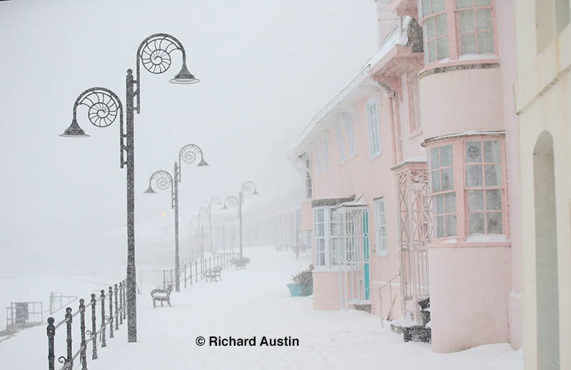 Richard Austin tweet media