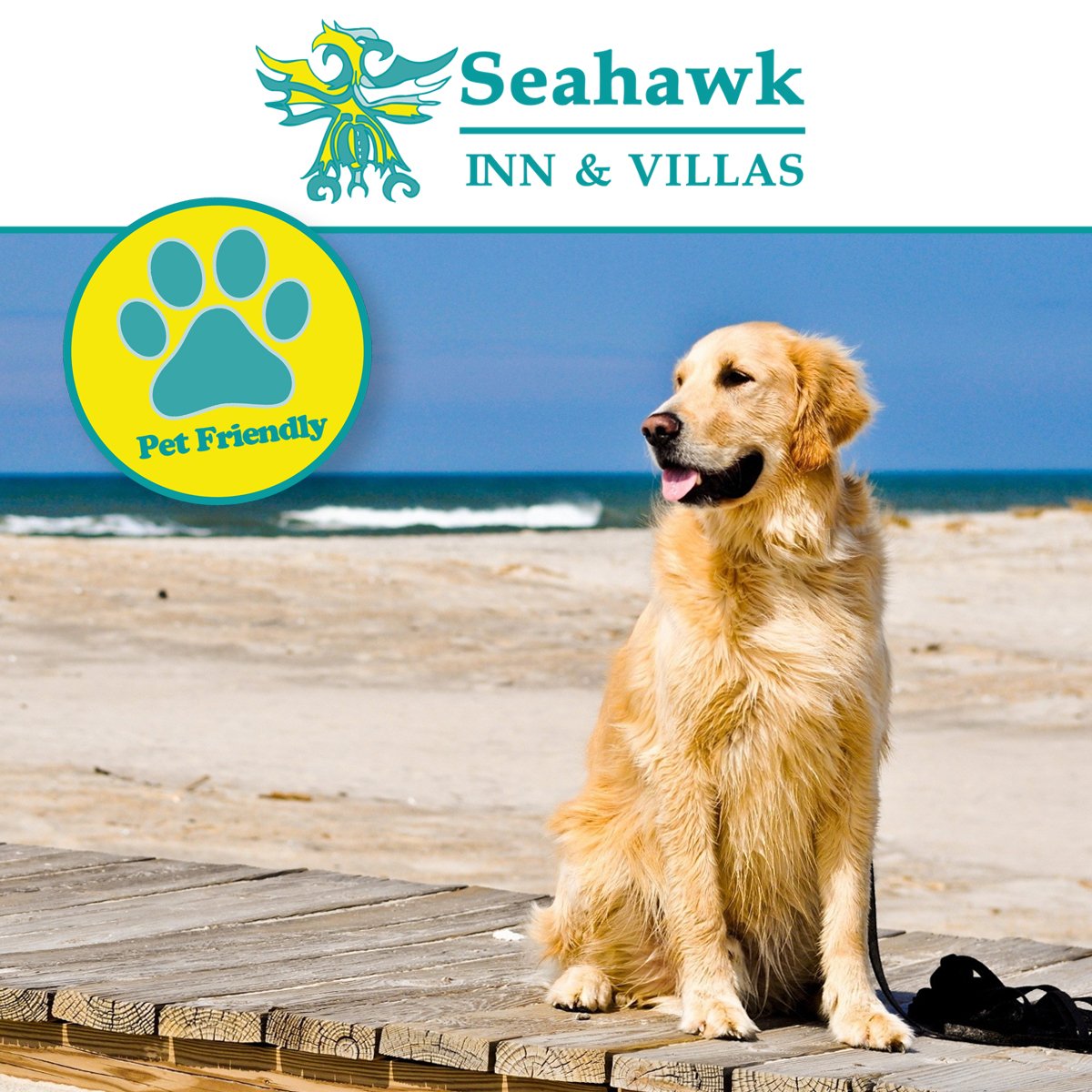 SeahawkInn's tweet image. We have designated #PetFriendly rooms, such as our cottage, with a daily $15 fee. If you are looking for cozy hotel in #AtlanticBeach with easy access to #BeaufortNC #EmeraldIsle and #CapeLookout then the #SeahawkInn is the place for you! Call (252) 726-4146 to book your stay!