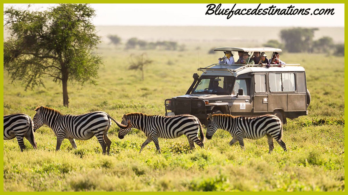 Mzfaithfulntrue's tweet photo. Blueface Destinations Official Site https://t.co/vV3vEC9rnE #SaveMoney On #Hotels #Villas #VacationHomes #Flights And Much More!! #AdventureIsWorthwhile #PremierTravelCompany @Blueface_Dest #iBookWithBlueface #TravelTheWorld #LuxuryTravel #TravelAdventure #ExploreTheWorld #Travel https://t.co/0v5jNB9YUS