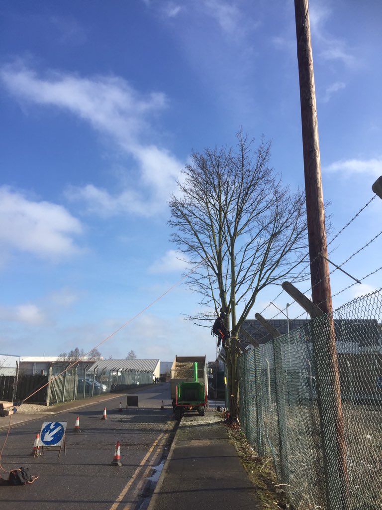 Haine Tree Services tweet media