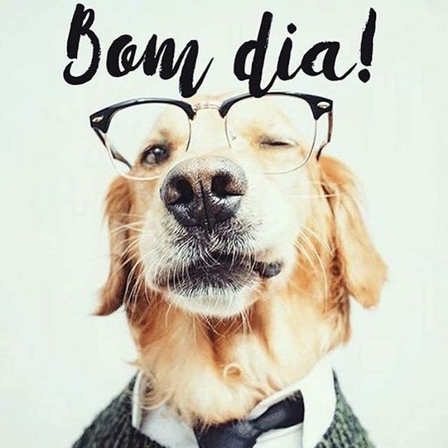 I'm at Bosque Dos Pets in São José Dos Campos, São Paulo w/ <a href="/sapocharles/">sapola</a> <a href="/charlesedsilva/">cadudellasilva</a> <a href="/carolcrb95/">caroline ribeiro</a> @carlose14066960 <a href="/carinaaguiar3/">AguiarCarina</a> <a href="/kdubaldim/">Carlos Eduardo</a> <a href="/caio_jullio/">Caio Filgueiras</a> swarmapp.com/c/esQOYBKbAop