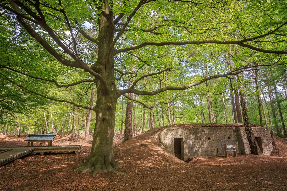 Ook fier op ons typisch erfgoed? Een landschap dat je waardeert? Maak er een mooie foto van! Tot 15 mei kan iedereen erfgoed fotograferen in het kader van het <a href="/europeeserfgoed/">Europees Jaar van het Cultureel Erfgoed 2018</a> #europeeserfgoedjaar #EuropeForCulture #ErfgoedVoorkempen Meer info bit.ly/2oIXukN