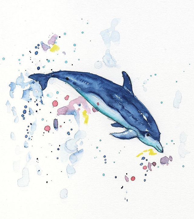 ArtistAnde's tweet photo. Dolphin at play 🐬💦💙
Watercolour painting
#dolphin #oceanart #watercolour #painting #illustration #oceanlife #sealife #seaart #splash #water #watercolor #watercolors #watercolours #watercolorart #watercolorpainting #artwork #artoftheday #drawingofthe… https://t.co/8FRVAUk2uV https://t.co/zIIgawbYQu