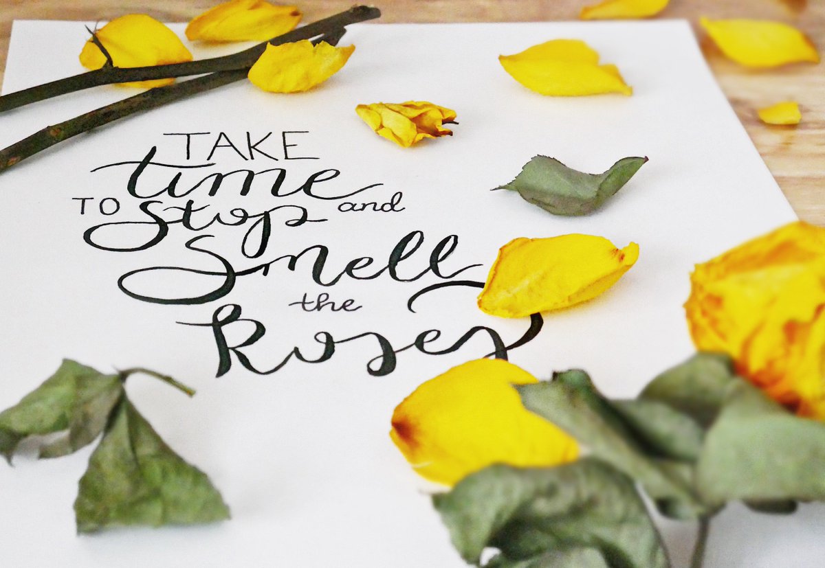 mayluclean's tweet photo. A gentle reminder as we dive into another busy week! How do you choose to live in the moment and appreciate the beauty of your surroundings? #MayLuClean #MondayMusings https://t.co/W4N3BgcxXn
