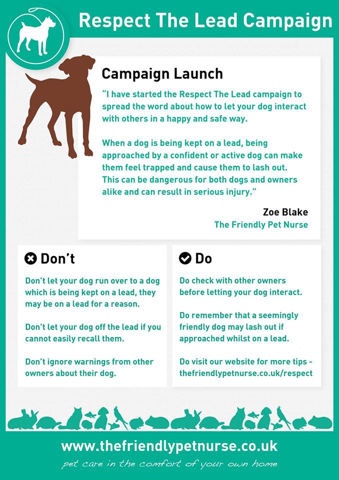 Please spread the word for my new campaign For more details, please visit thefriendlypetnurse.co.uk/respect/   or check out The friendly pet nurse on FB  #respectthelead #dogs #dogowners #beresponsible #animals