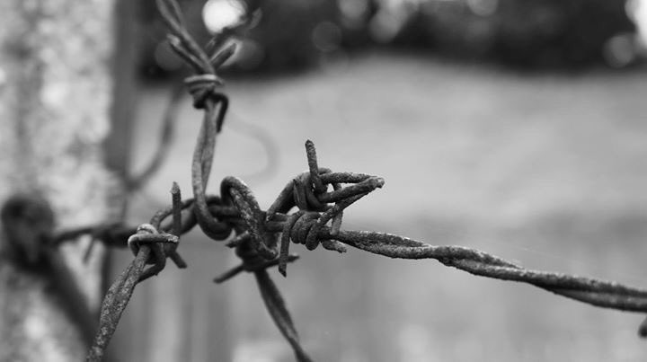 Remember to come along to the launch of #MySolitude on Saturday 2-4pm! Stark and poignant artwork by <a href="/DavidTovey1975/">David John Tovey</a> joined by acclaimed sculpture ‘Clochard’ by Ralph Brown from <a href="/GalleryPangolin/">Gallery Pangolin</a> all to raise awareness of #homelessness, #allpeoplematter <a href="/GlosCathedral/">Gloucester Cathedral</a>