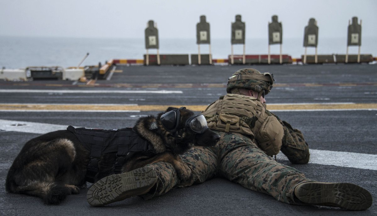 Ruff Day

Cpl. Zack Barkley fires an M4 rifle during a @26thMEU live-fire exercise on the flight deck of the Wasp-class amphibious assault ship USS Iwo Jima (LHD 7).