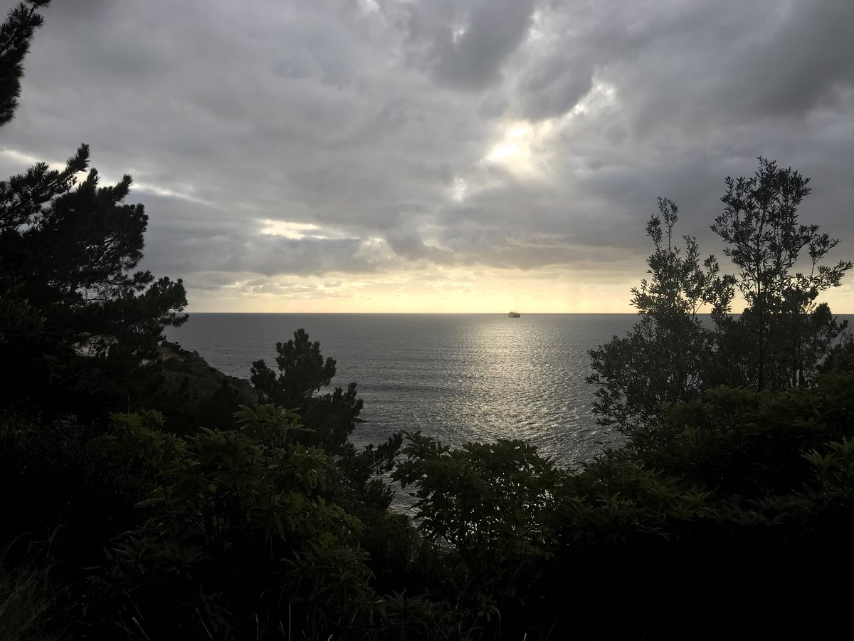 TomBayes_'s tweet photo. I’ve been quiet on the old tweeting front for a while... but going to get back into it. To start, here’s where I’m at this morning #Eden #nsw #rememberhowtohashtag https://t.co/YbEXPryiJh