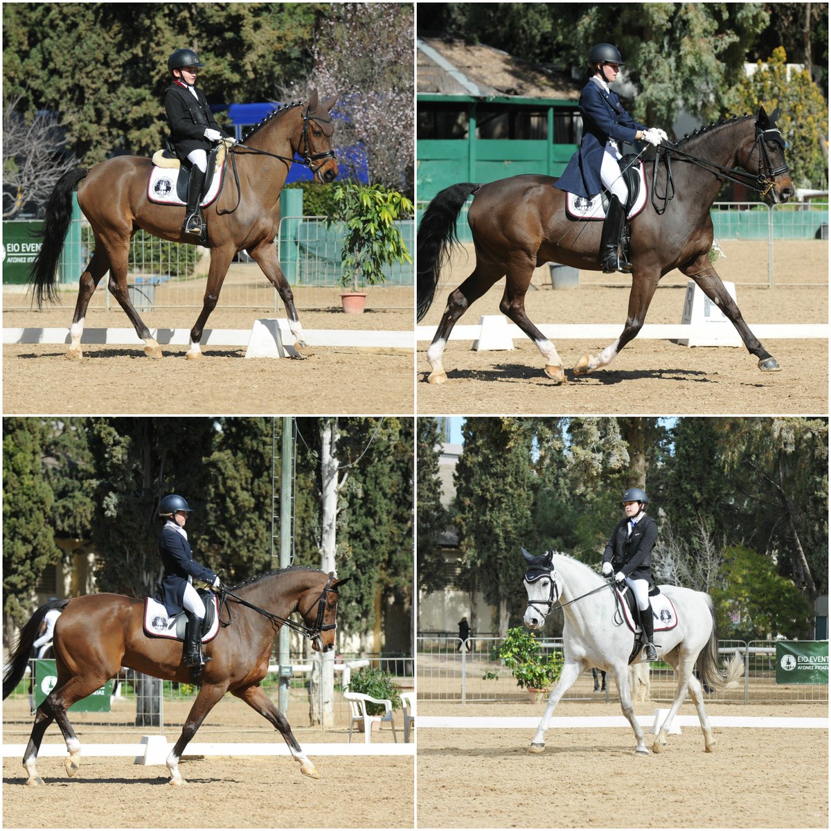 ippasia's tweet photo. #dressage #ippasia #equestrian #horse 
3ος Αγώνας Ιππικής Δεξιοτεχνίας στις εγκαταστάσεις του ΕΙΟ! 
Εντυπωσιακές διακρίσεις και υψηλές βαθμολογίες για τις αμαζόνες και τους ιππείς μας!
Photo credits: @photobit_net
https://t.co/DKV0BZfDE9 https://t.co/n6Kb4ASCtg