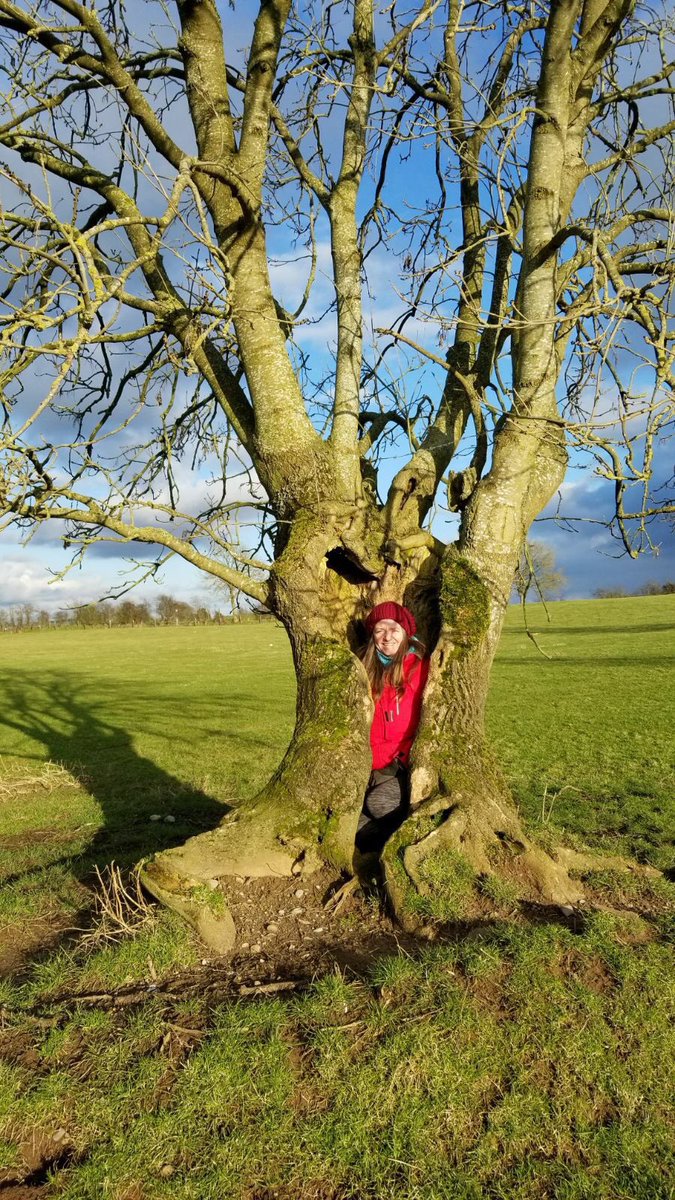 #nationaltreeweek tweet media