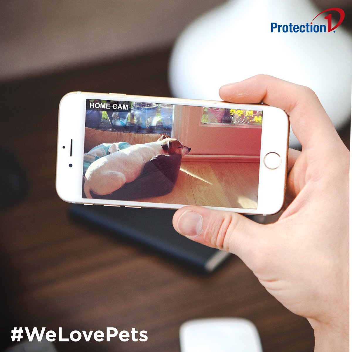 ProtectionOne's tweet image. Keep an eye on your most prized possessions wherever you are.