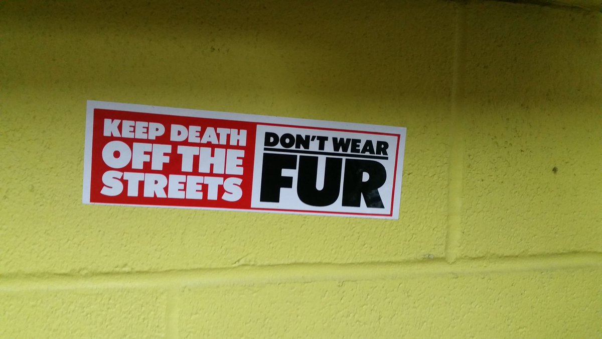 _veganayrto's tweet photo. Fur is murder. Spread the message. https://t.co/h5Jgj04TTM