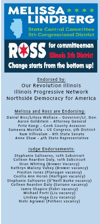 Ross45IL's tweet photo. Need some help identifying all the down ballot progressive candidates in the IL 5th district?  People For Melissa Lindberg and my campaign worked together on this handy voting guide! https://t.co/GWsuJICA2s