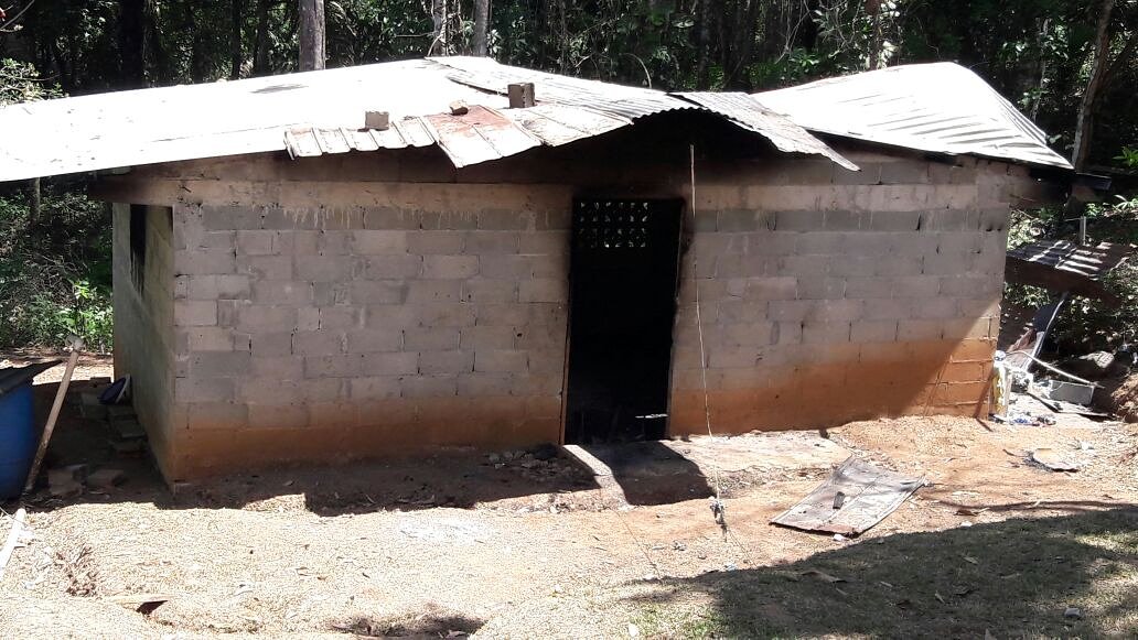 Mujer denunció a ex pareja por provocar incendio en su residencia ubicada en Chilibre. Perdió todos sus enseres y alimentos...