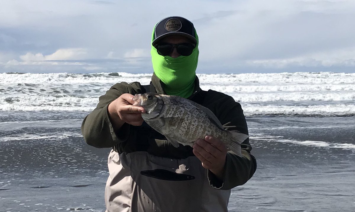 BaitedUp's tweet photo. Got a #slab #surf #perch for #lunch 🤘🏻She put up a #nice #fight #ocean #surf #fish #fishing #survival #tactical #rodandreel #tackles #shop #shiamno #diawa #basspro #barredsurfperch https://t.co/Gv9edOUEME