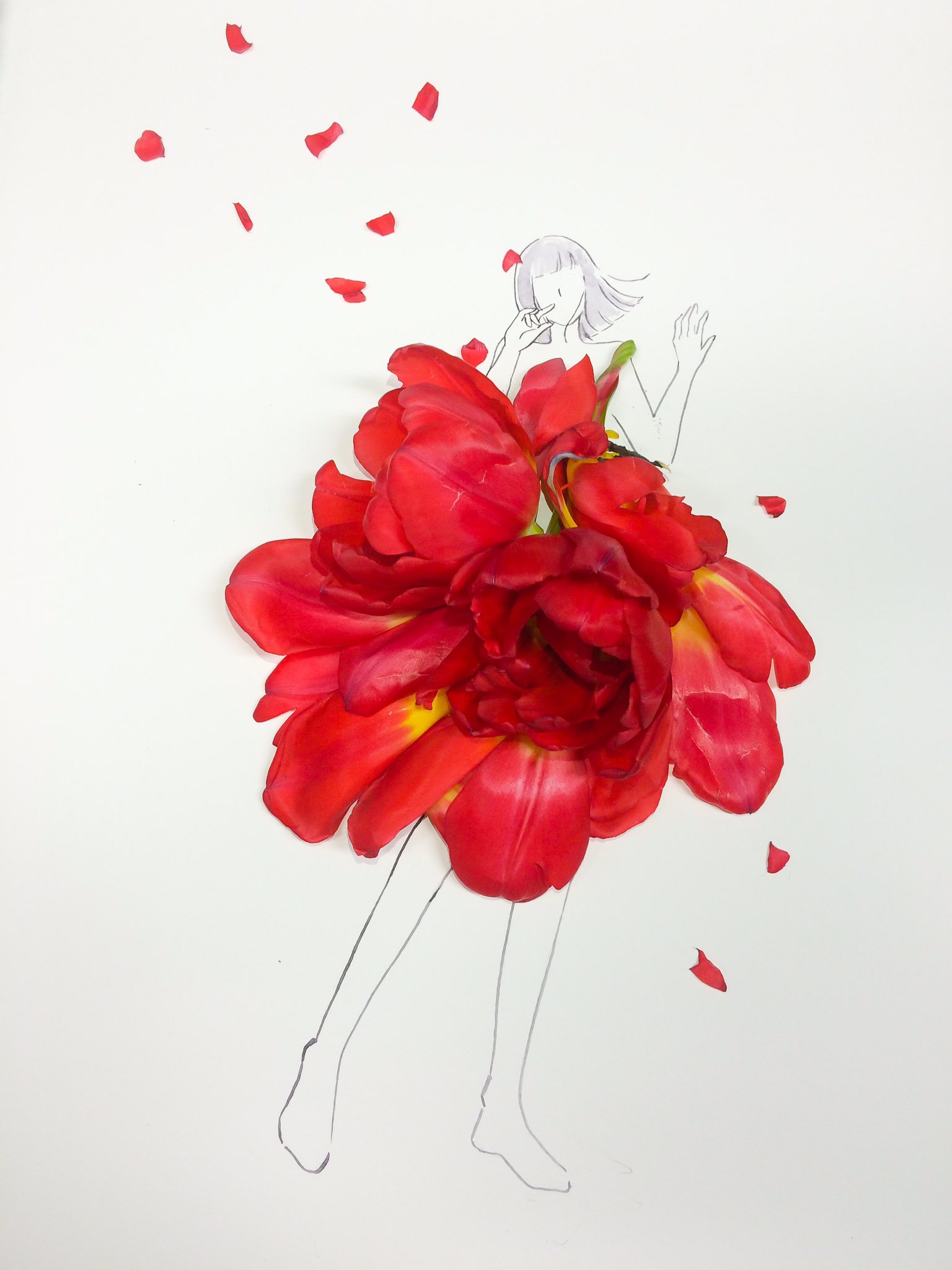 はな言葉 葉菜桜花子 きょう3月6日は 啓蟄 世界一周記念日 弟の日 スポーツ新聞の日 エステティックサロンの日 誕生花は赤いチューリップ 花言葉は 愛の告白 T Co Ym07wwb9tn Twitter