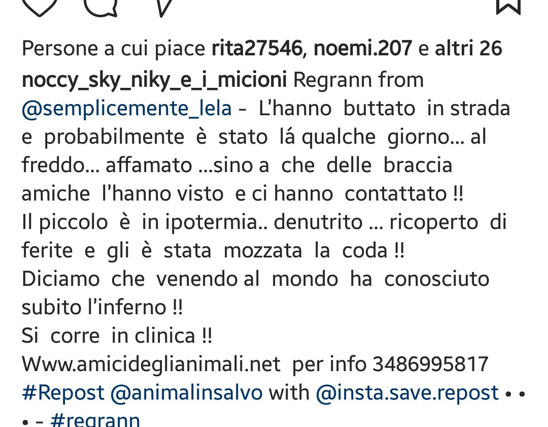 tizianantonella's tweet photo. 🔥🔥 SIETE LA FECCIA PEGGIORE abbandonare uno scricciolo così 😡 meritate la solitudine! Rt please ⤵⤵🙇🙇 https://t.co/N1kqudN61w