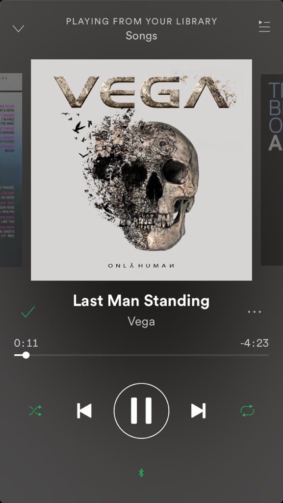 band_vega tweet picture