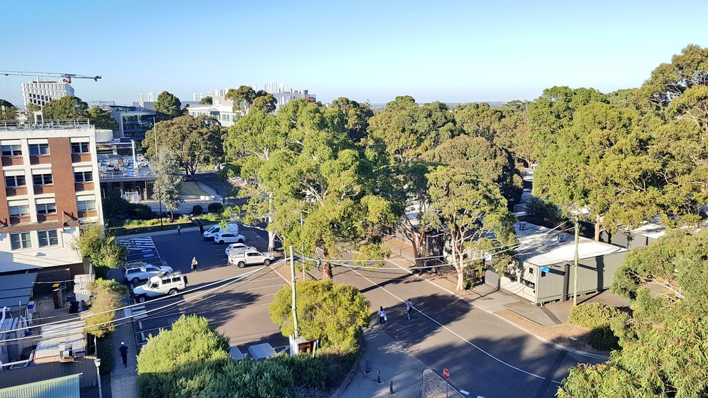 CavalloDelMare's tweet image. Tracking down #criticallyendangered #SwiftParrots (first Vic sighting this season?) in the #EucBeaut18 @MonashUni #EucsOnCampus. Nice surprise to start the day with :) picked up by &quot;Could-hear-a-tardigrade-fart&quot; @roamingmoth
#wildmelbourne #wildoz