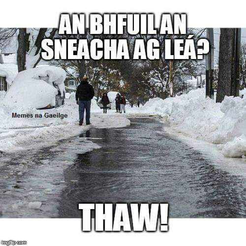 Meas mór do chumadóir an meme #Gaeilge seo do #SneachtanaGaeilge @MetEireann #melteireann *Sneachta