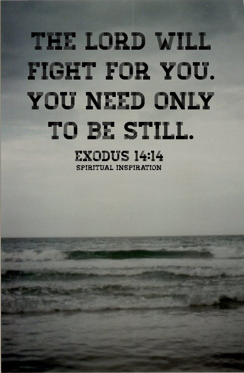 Michele Read (@michele_read70) on Twitter photo 