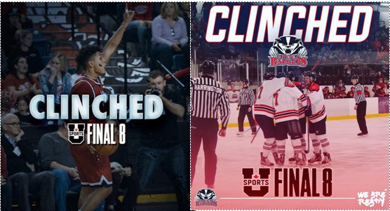 rmawhood's tweet photo. The story on how two @BrockBadgers teams are heading East for the Nationals, and how it's a flashback to 2008.  https://t.co/yRAbd6FdO0 #OUA #USports https://t.co/0fOkSwhAyo
