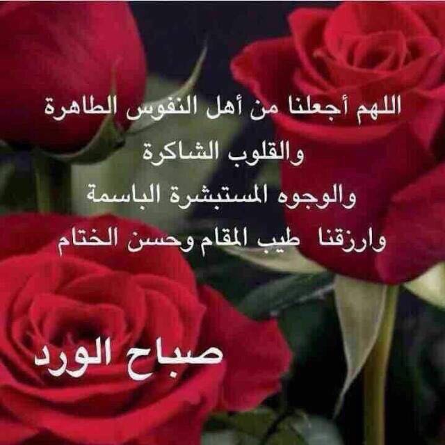 محمد شعبان @تابعني اتابعك (@j3rzjht8a1o7sox) on Twitter photo 