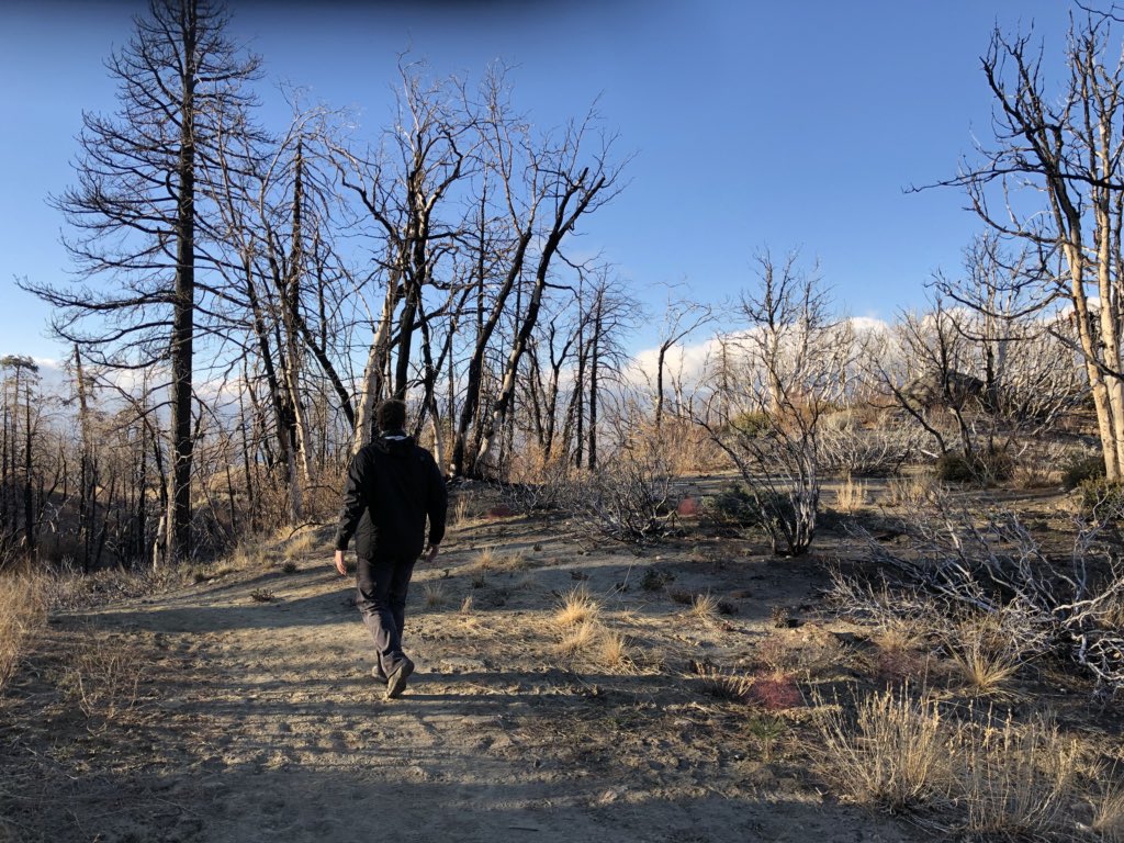 BeOutsideNow's tweet photo. #Hike60 from #SouthForkTrailhead to #HorseMeadow on #SanGorgonio. Such devastation from fire #52HikeChallenge2018 #104HikeChallenge https://t.co/l3oB1EZDVv
