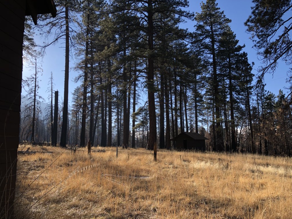 BeOutsideNow's tweet photo. #Hike60 from #SouthForkTrailhead to #HorseMeadow on #SanGorgonio. Such devastation from fire #52HikeChallenge2018 #104HikeChallenge https://t.co/l3oB1EZDVv