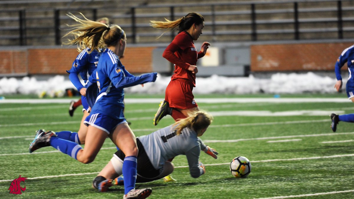 WSUCougarSoccer's tweet photo. It may have been a cold night but it was hot on the field. A nice 3-0 win over UBC at Martin Stadium. #GoCougs https://t.co/VCYlgMkfJZ