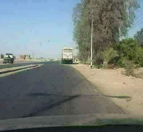 بعد القرار الجديد في السكك الحديده  بمصر للخصخصه  سوف نرا تطور رهيب في القطارات يدل علي السرقه التي كانت تحدث بالقطاع  وسوف يتحول لسوق تجاري  ما هم المثتثمر سوا الدخل  ما سمعنا يوما عن قطار من الدرجه الاولي ثد عمل حادث ولاكن الفقراء ليس لهم ثمن