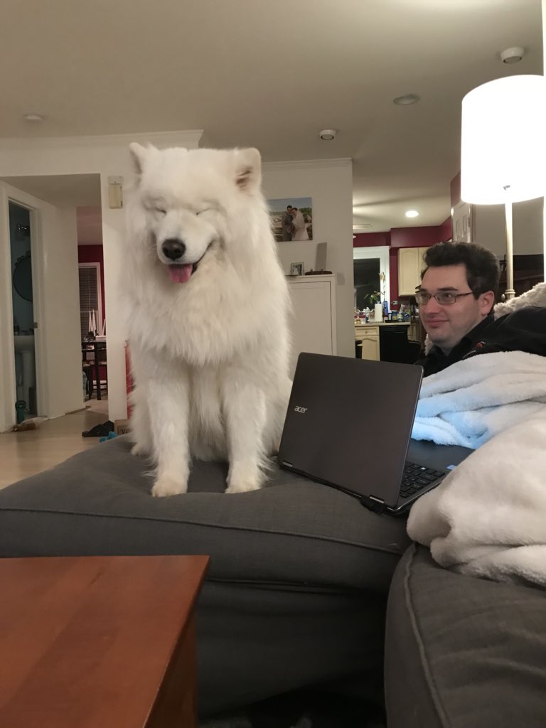 HI!!! I’m here!!! I’m cute!!! And SO floofy!! Don’t you wanna pet me? Imma just... climb... up... make you move your ‘puter... And ta da!!! Attentions for meeeee!! Ta daaaa!!! ^-^
