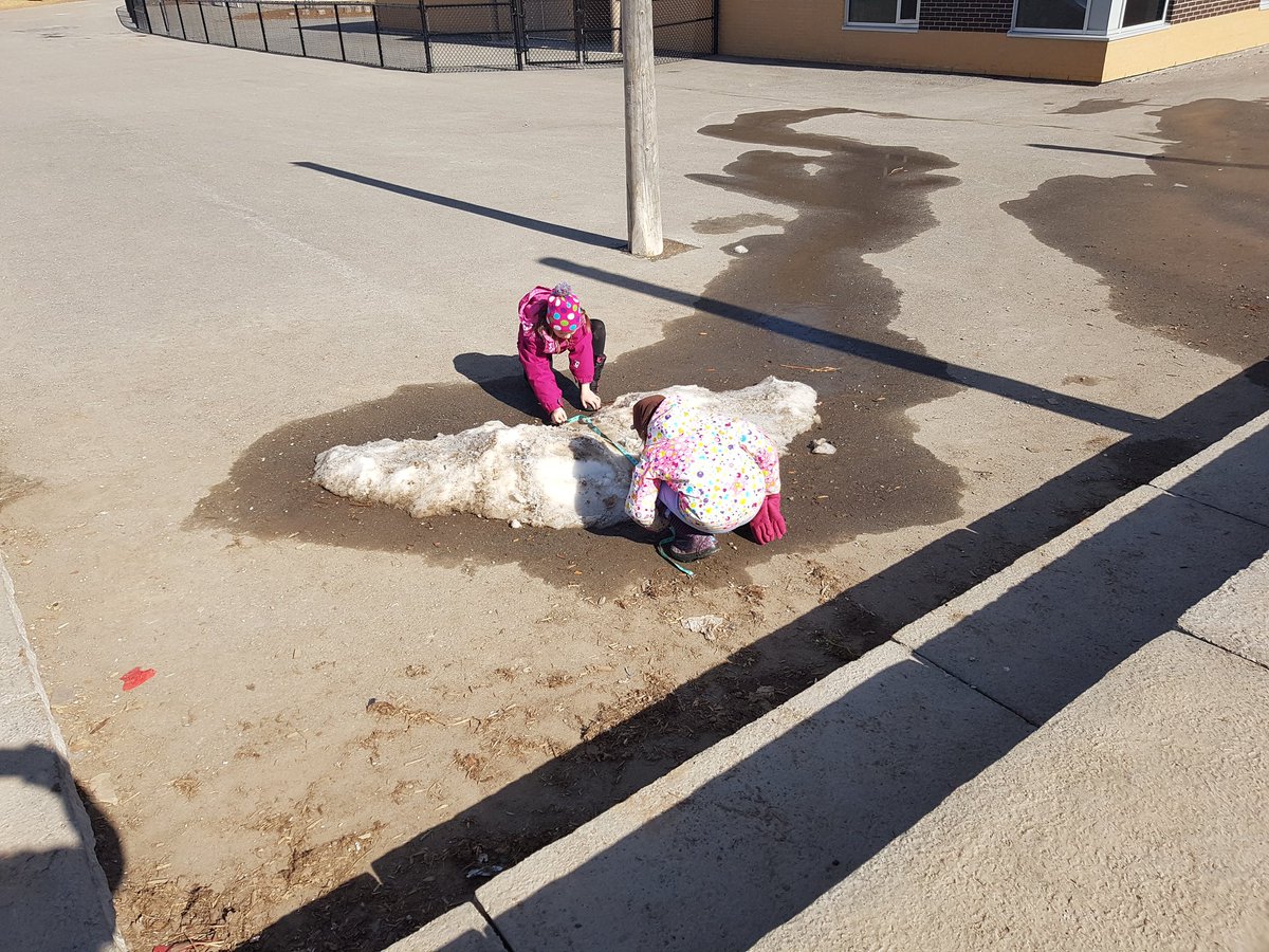 MrsShewchuk's tweet photo. Since it was so nice out today, we decided to go on a metre scavenger hunt outside. We needed to find things around our schoolyard that we estimated were a metre and measured it to see how close we were.   #outdoorlearning #handsonlearning https://t.co/l6iNBTvJnz