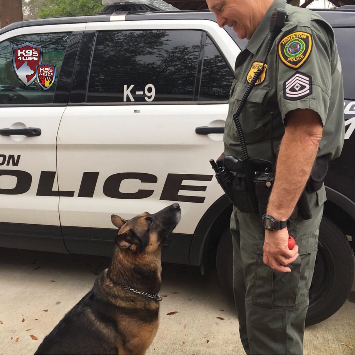 K9sOfficial's tweet image. K9 Bandit getting ready to watch our Hard Dog, Fast Dog competition at the Houston Livestock Show and Rodeo!!!💙🐾💙 #K9s4COPs #HardDogFastDog #K9Bandit