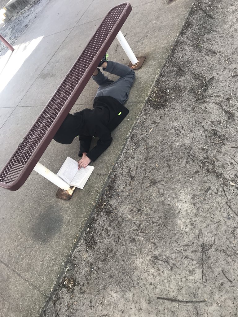 nstreet_teaches's tweet photo. It may have been a little chilly but the sun was shining and we had our books to keep us warm. Students requested 🙌🏼❤️✅ #findatree #WestsideBestSide #readingwithnature @WSESSmithfield https://t.co/Cw4SBcfWR3
