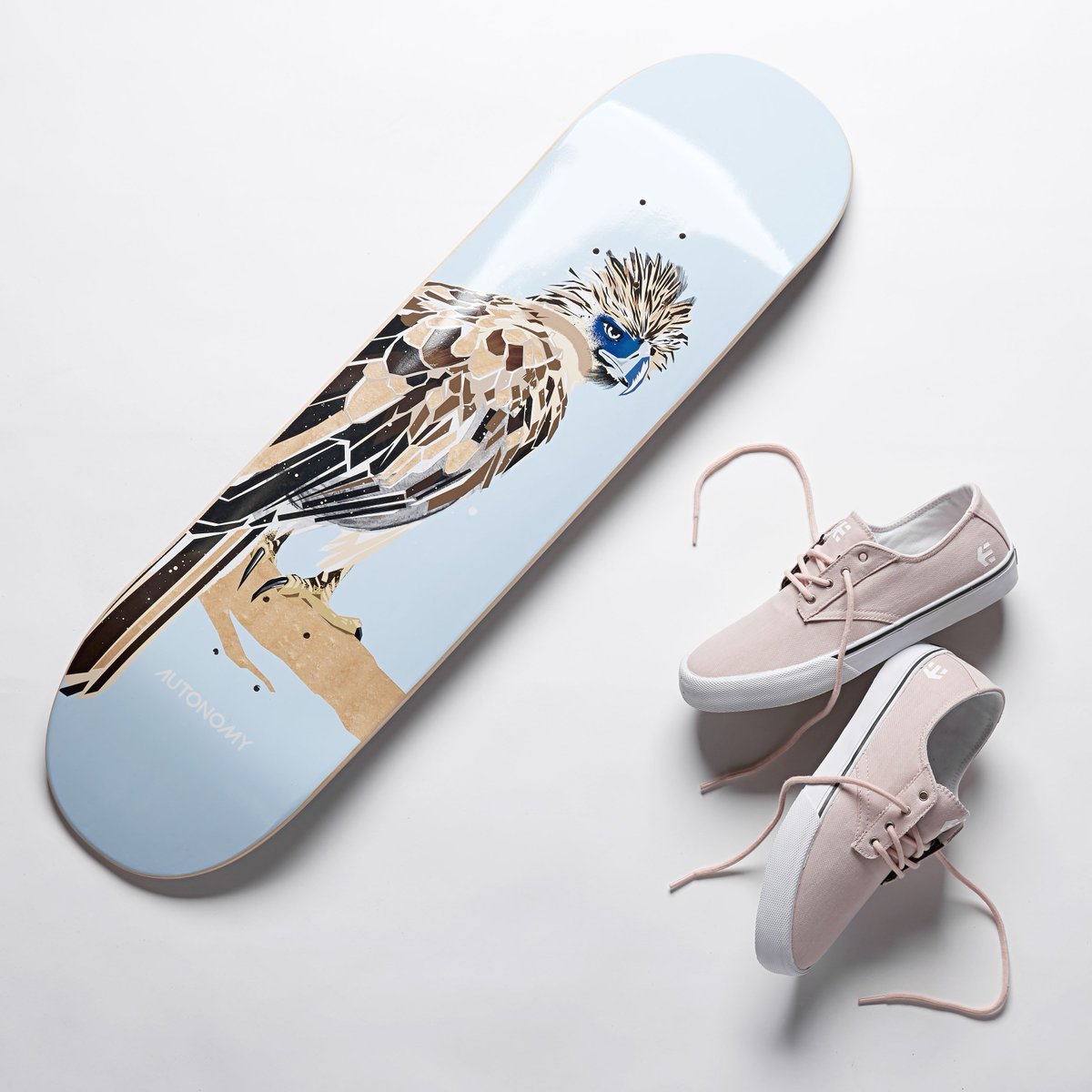 etnies skateboard decks