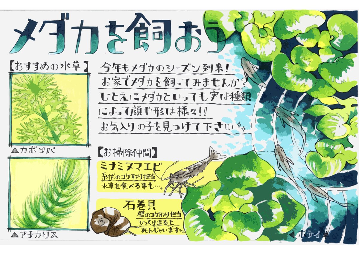 しう 脱ふとましい 原本はコピックで塗り塗り しう 脱ふとましい 原本はコピックで塗り塗り